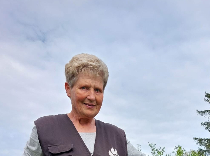 Active Investigation Update, Preliminary Summary of the Serenade Street Incident